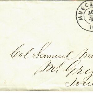Cat. No. 65, Issue 1867, Denom 3¢, Color:  Rose, Iowa Govenor, Union Army